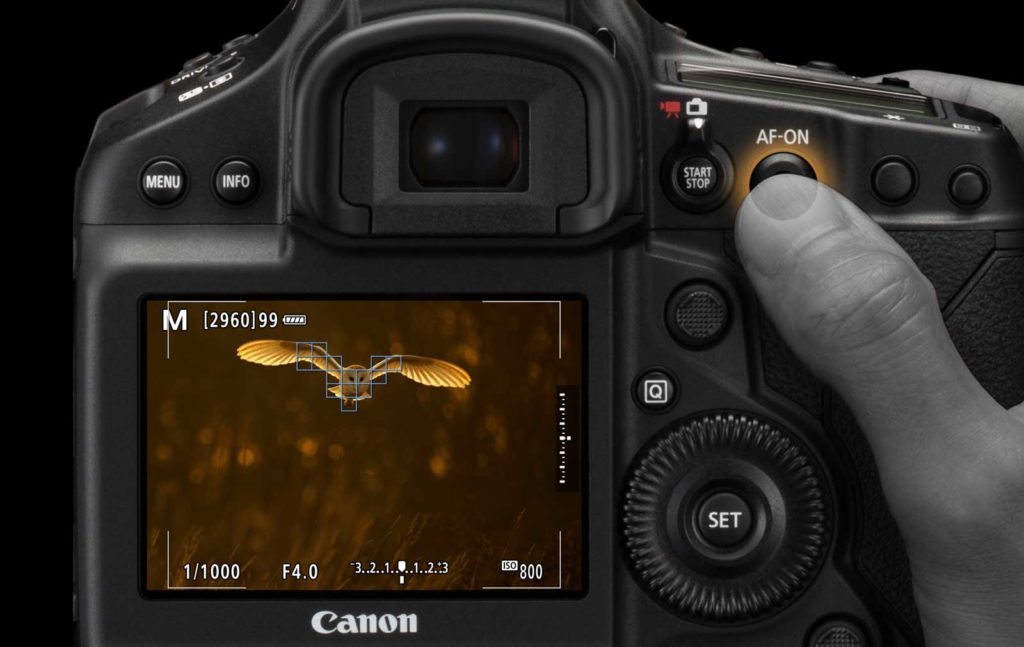 EOS-1D-X-Mark-III - Das neue Kraftpaket von Canon